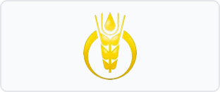 深粮控股